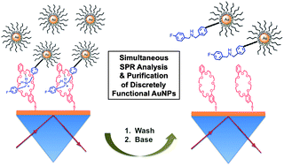 Graphical abstract: Simultaneous purification and surface plasmon resonance characterization of mechanoresponsive, discretely functionalized gold nanoparticles