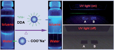Graphical abstract: Blue fluorescent carbon thin films fabricated from dodecylamine-capped carbon nanoparticles
