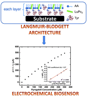 Graphical abstract: Optimized architecture for Tyrosinase-containing Langmuir–Blodgett films to detect pyrogallol