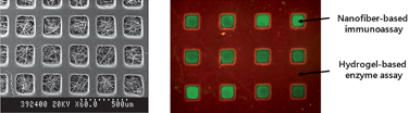 Graphical abstract: Fabrication of hydrogel-micropatterned nanofibers for highly sensitive microarray-based immunosensors having additional enzyme-based sensing capability