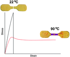 Graphical abstract: Environmental effects on mechanochemical activation of spiropyran in linear PMMA