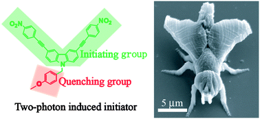 Graphical abstract: Novel photoinitiator with a radical quenching moiety for confining radical diffusion in two-photon induced photopolymerization