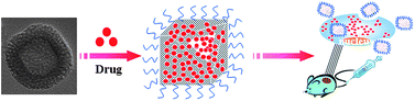 Graphical abstract: Uniform hollow mesoporous silica nanocages for drug delivery in vitro and in vivo for liver cancer therapy