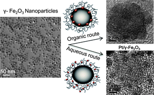 Graphical abstract: Synthesis of multiple platinum-attached iron oxide nanoparticles