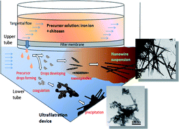 Graphical abstract: The one-step preparation of nanowires using a facile ultrafiltration technique: the case for biomedical chitosan and/or iron oxide nanowires