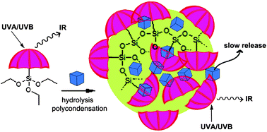 Graphical abstract: Organic–inorganic hybrid polysilsesquioxane nanospheres as UVA/UVB absorber and fragrance carrier