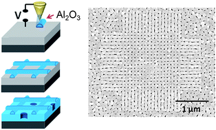 Graphical abstract: Proximal oxidation as a director of self-organisation