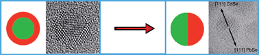 Graphical abstract: Thermally induced atomic reconstruction of PbSe/CdSe core/shell quantum dots into PbSe/CdSe bi-hemisphere hetero-nanocrystals