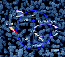Graphical abstract: Redox cycles promoting photocatalytic hydrogen evolution of CeO2 nanorods