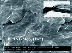 Graphical abstract: Towards a new generation of polymer nanocomposites based on inorganic nanotubes