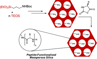 Graphical abstract: Functionalised mesoporous silica: a good opportunity for controlled peptide oligomerisation