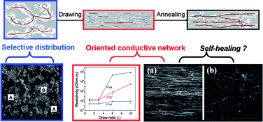 Graphical abstract: Preparation of high performance conductive polymer fibres from double percolated structure