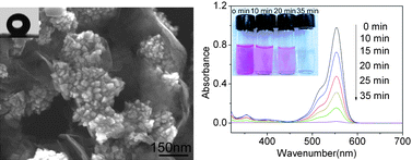 Graphical abstract: Novel structure CuI/PANI nanocomposites with bifunctions: superhydrophobicity and photocatalytic activity