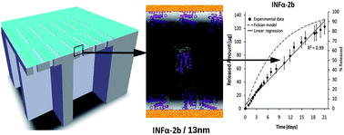 Graphical abstract: A robust nanofluidic membrane with tunable zero-order release for implantable dose specific drug delivery