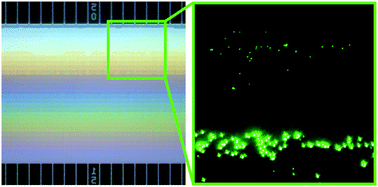 Graphical abstract: Separation and metrology of nanoparticles by nanofluidic size exclusion