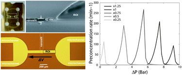 Graphical abstract: Ionic and mass transport in micro-nanofluidic devices: a matter of volumic surface charge