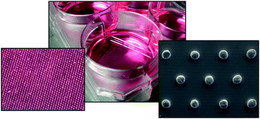 Graphical abstract: Microarrays for the scalable production of metabolically relevant tumour spheroids: a tool for modulating chemosensitivity traits