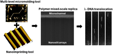 Graphical abstract: Simple replication methods for producing nanoslits in thermoplastics and the transport dynamics of double-stranded DNA through these slits