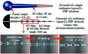 Graphical abstract: Liquid DEP actuation and precision dispensing of variable volume droplets