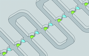 Graphical abstract: A microfluidic array with cellular valving for single cell co-culture