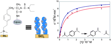 Graphical abstract: Enzyme-functionalized polymer brush films on the inner wall of silicon–glass microreactors with tunable biocatalytic activity