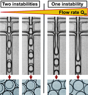 Graphical abstract: One-step formation of multiple emulsions in microfluidics