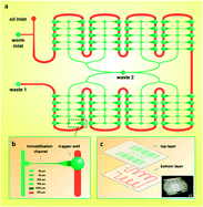 Graphical abstract: Droplet microfluidics for characterizing the neurotoxin-induced responses in individual Caenorhabditis elegans