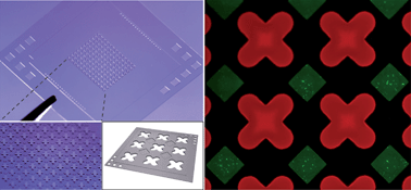 Graphical abstract: Stereomask lithography (SML): a universal multi-object micro-patterning technique for biological applications