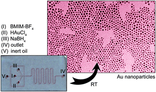 Graphical abstract: Flow-focused synthesis of monodisperse gold nanoparticles using ionic liquids on a microfluidic platform