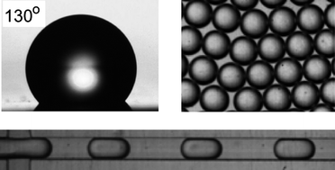 Graphical abstract: Hydrophobic modification of polycarbonate for reproducible and stable formation of biocompatible microparticles