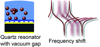 Graphical abstract: Femtogram mass resolution in a liquid environment using a low loss vacuum-gapped quartz crystal resonator