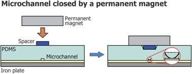 Graphical abstract: Electrical isolation and characteristics of permanent magnet-actuated valves for PDMS microfluidics