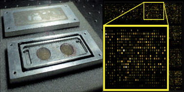 Graphical abstract: DNA hybridization enhancement using piezoelectric microagitation through a liquid coupling medium