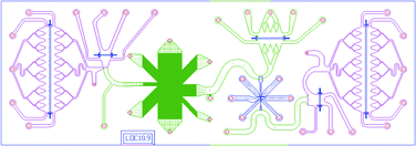 Graphical abstract: A lab-on-chip for biothreat detection using single-molecule DNA mapping