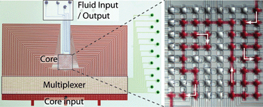 Graphical abstract: A software-programmable microfluidic device for automated biology