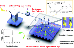 Graphical abstract: Integrated SPPS on continuous-flow radial microfluidic chip