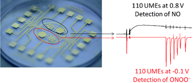 Graphical abstract: On-chip multi-electrochemical sensor array platform for simultaneous screening of nitric oxide and peroxynitrite