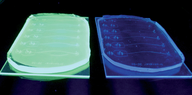 Graphical abstract: Reduced UV light scattering in PDMS microfluidic devices