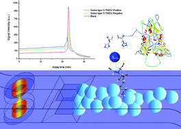 Graphical abstract: Rapid screening swine foot-and-mouth disease virus using micro-ELISA system