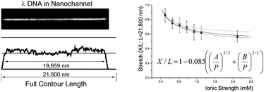 Graphical abstract: Nanochannel confinement: DNA stretch approaching full contour length