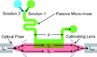 Graphical abstract: A single-layer, planar, optofluidic Mach–Zehnder interferometer for label-free detection