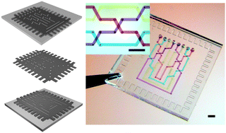 Graphical abstract: Capillary-driven automatic packaging