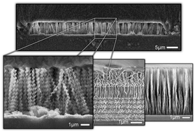 Graphical abstract: Microchannels filled with diverse micro- and nanostructures fabricated by glancing angle deposition