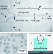 Graphical abstract: Microbubble generation in a co-flow device operated in a new regime