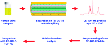 Graphical abstract: Metabolic profiling of human urine by CE-MS using a positively charged capillary coating and comparison with UPLC-MS