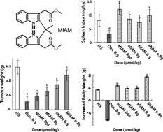 Graphical abstract: {2-[1-(3-Methoxycarbonylmethyl-1H-indol-2-yl)-1-methyl-ethyl]-1H-indol-3-yl}-acetic acid methyl ester (MIAM): Its anti-cancer efficacy and intercalation mechanism identified via multi-model systems