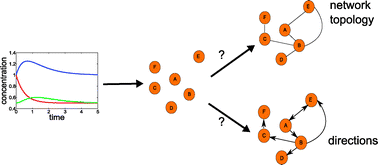 Graphical abstract: Reverse engineering of metabolic networks, a critical assessment