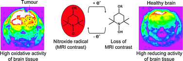 Graphical abstract: Imaging of cancer by redox-mediated mechanism: a radical diagnostic approach