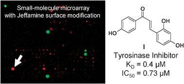 Graphical abstract: Surface modification for small-molecule microarrays and its application to the discovery of a tyrosinase inhibitor