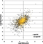 Graphical abstract: Nuclear proteomic changes linked to soybean rust resistance